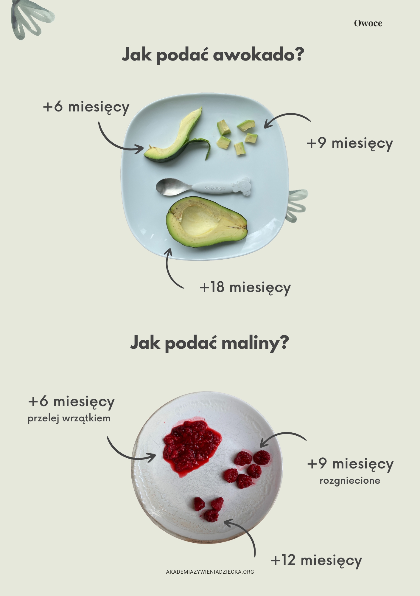 bobas lubi wybor BLW krok po kroku